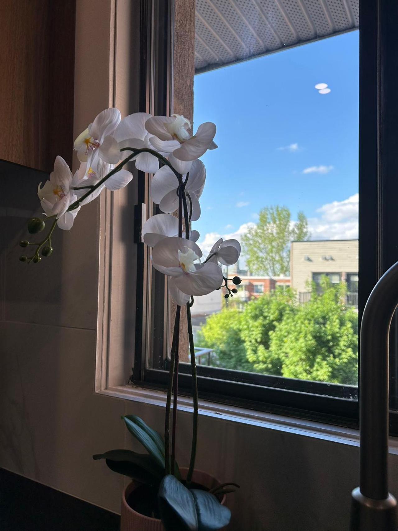 Orchid Lodgement モントリオール エクステリア 写真